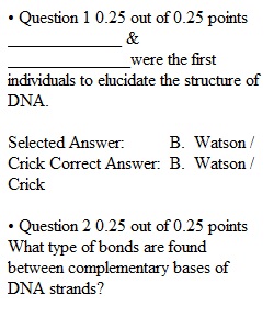 Quiz 10